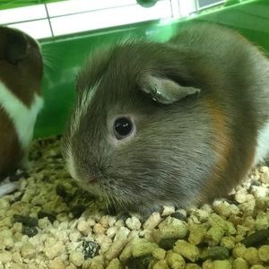 Meet your Posher, Claire